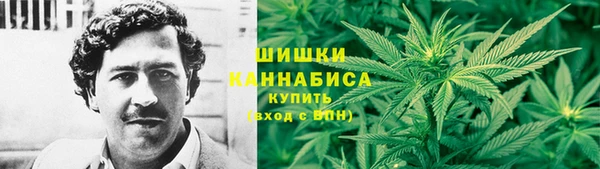 PSILOCYBIN Лагань