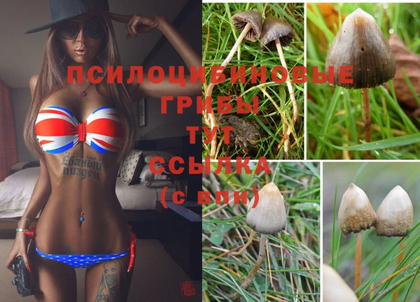 PSILOCYBIN Лагань