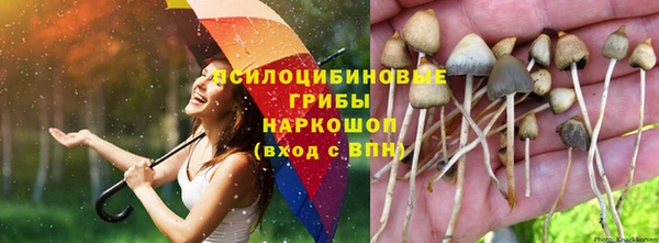 мет Лабытнанги
