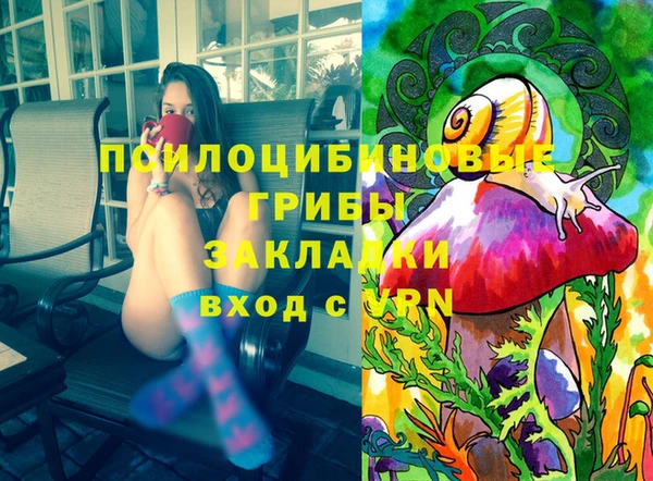 PSILOCYBIN Лагань