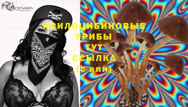 мет Лабытнанги