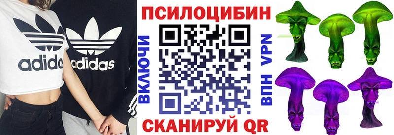 Галлюциногенные грибы Psilocybine cubensis  даркнет сайт  Николаевск-на-Амуре 